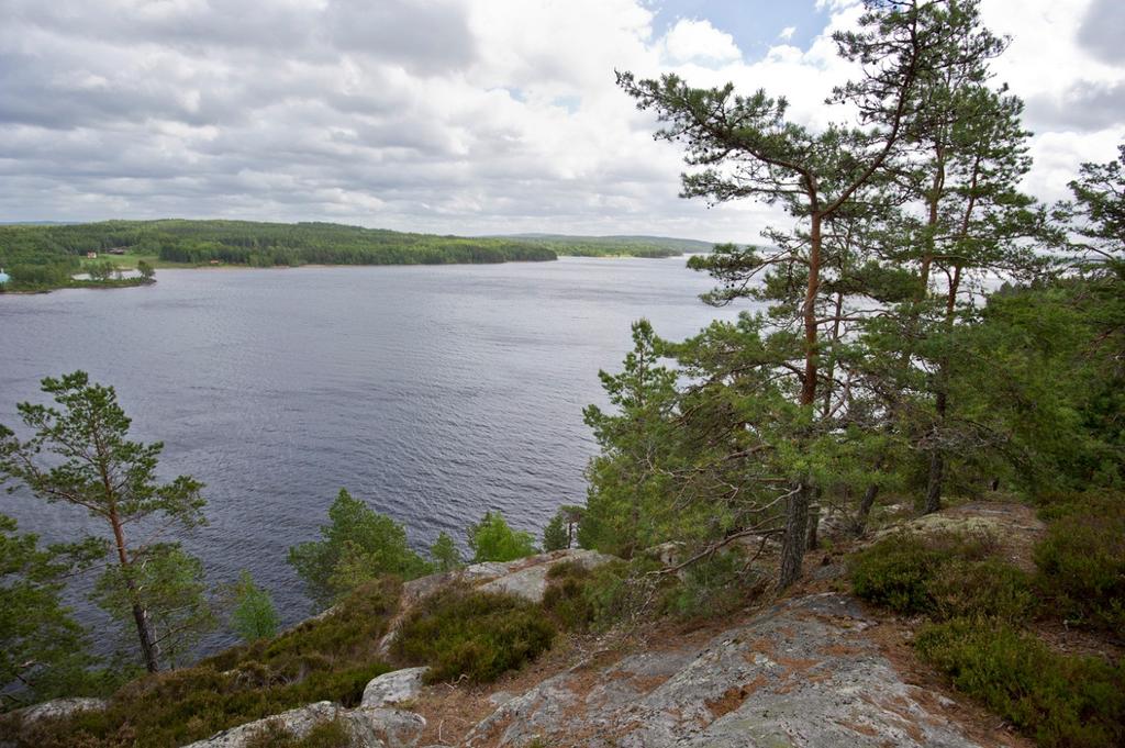 schablonmedel som tilldelas Länsstyrelsen att avsättas för uppföljning av de naturskyddade områdena.