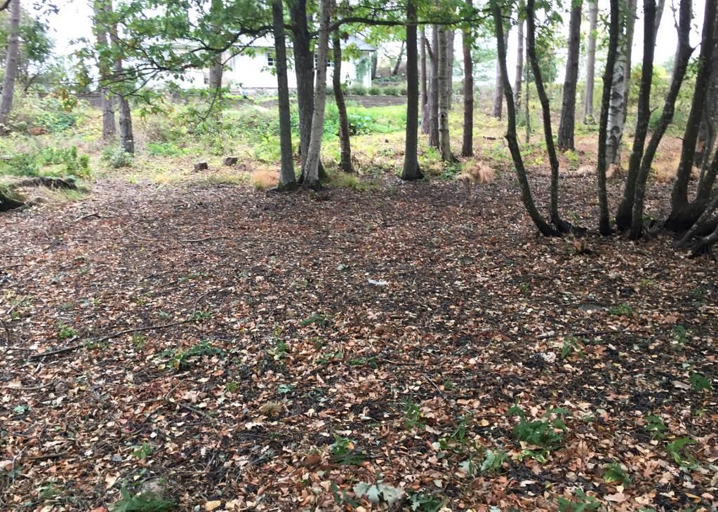 () fis ett sakt område där det troligtvis förekommer ytligt vatt i perioder med mycket reg, se Figur.