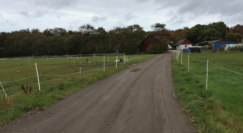 () C Iom detta delavriigsområde varierar ivåera mella ca +, m i öster utmed Boåsväg och kappt + m i väster. Bebyggels iom aktuellt delområde och plaområde är beläg som lägst på drygt +, m.