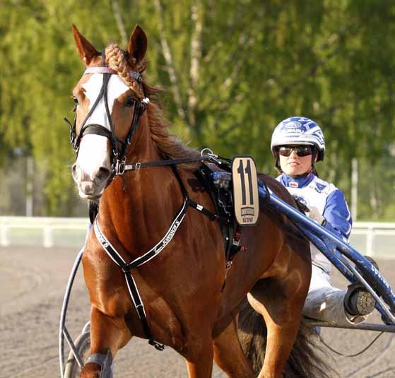 stall leif witasp kajsa frick RAPPORT FÖR AUGUSTI