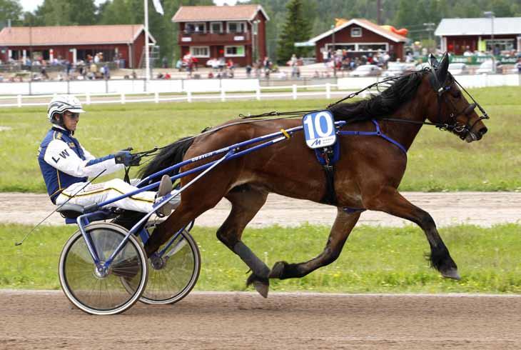 000 Svenskt Kallblodskriterium 2012 Bj 120828 5/2140 5 32,3a 52 Leif Witasp 4.644 Kval. Finn-Tack Norsk Travkriterium, kallblod 1 2 3 ÅSTAS VIKING 109.644 kr DIAMOND OF ACE 106.000 kr MY GOLDEN 104.