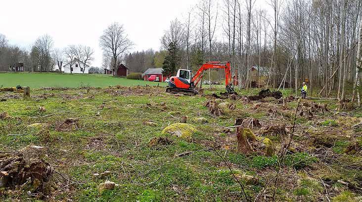 Arkeologgruppen AB rapport 2018:26 Figur 4. Området utgjordes av blockrik terräng på grusig morän. Foto från söder.