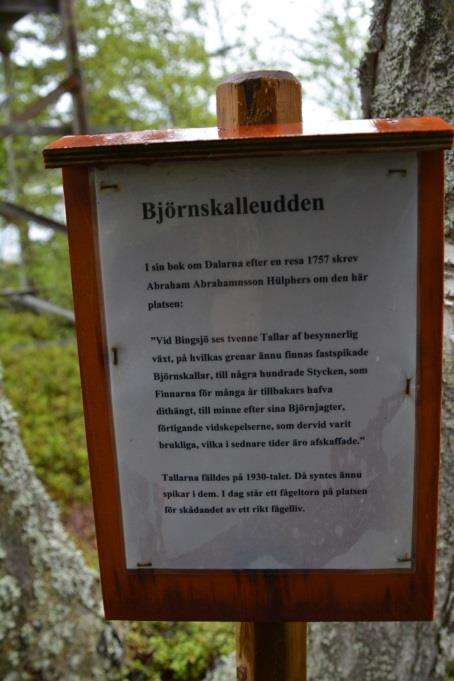 10 bosatt sig med sin familj sedan trollen flyttat ut. Liksom Gottlund kunde vi dock konstatera att utrymmet nog var i minsta laget.