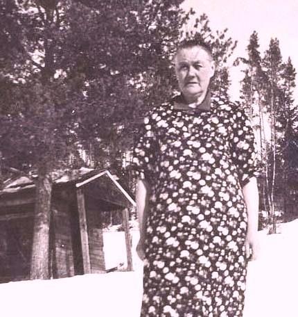 28 Syskonen Pettersson i Hamra Levnadsöden i finnmarken Anna-Lena Botolf Syskonen Pettersson var fem till antalet. De föddes i Hamra i Orsa Finnmark under senare delen av 1800-talet.