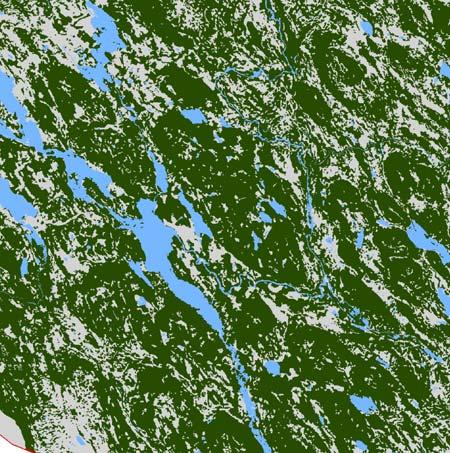 1958 1973 1986 2004 Orörd skog Avverkningar Bild 4 Förändringarna avseende skogsmark som