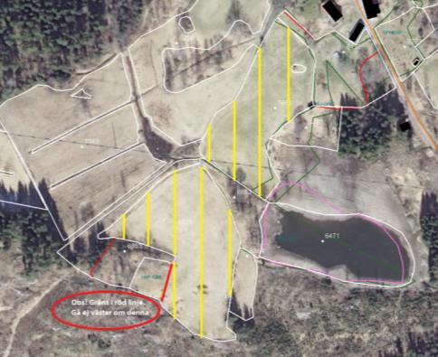 Målsryd Berget 6558 Söder Borås kommun Större delen av block 63973336558 1,1 ha 2014-2017: Grödkod 53. Slåtteräng med allmänna värden. Har inte plöjts eller gödslats på minst 20 år före 2014.