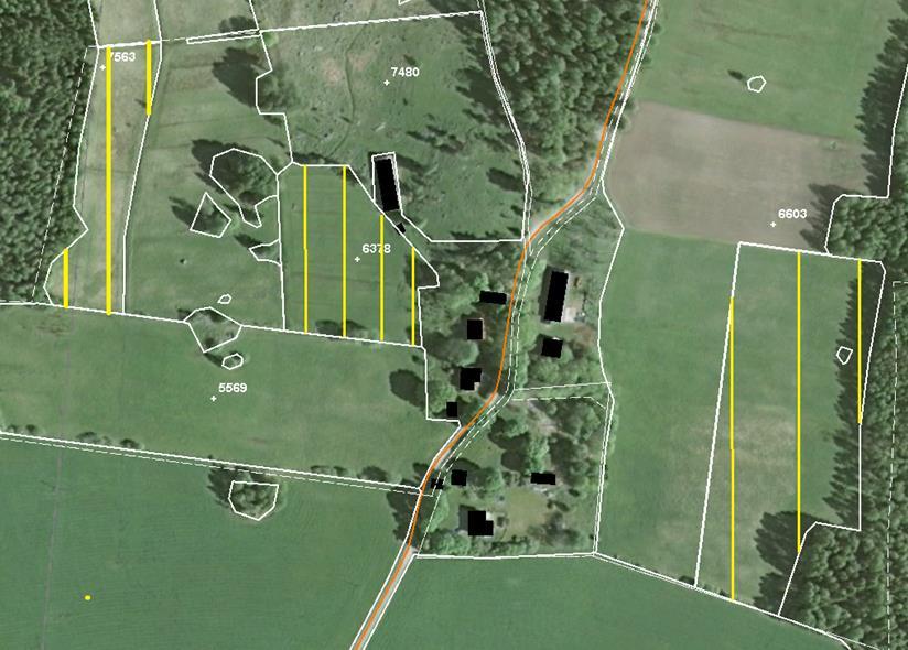 Boåsen 7563 Väster 0,6 ha Mariestads kommun Del av block 65274027563 2014-2017: Grödkod 50. Vall på åker. Smal f.d. åker som varierar mellan fuktigt till torrt.