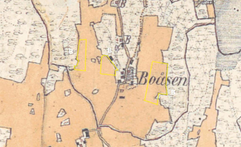 Boåsen 1880-tal. By med stor andel åkermark. Alla tre ängsvallsskiftena gränsat till naturliga fodermarker som var betade, men som kan ha varit slåtterängar tidigare.