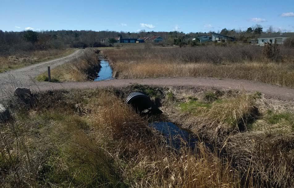 Bfintligt dagvattndik i västra dln av planområdt för dtta i områdt. BEAB har n pumpstation som är dimnsionrad för n utbyggnad i områdt.