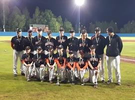 VERKSAMHETSBERÄTTELSE 2016 Juniorserien Baseboll Stockholm J 12 11 1 22 Rättvik J 12 10 2 20 Sundbyberg J 11 7 4 14 Sölvesborg J 9 5 4 10