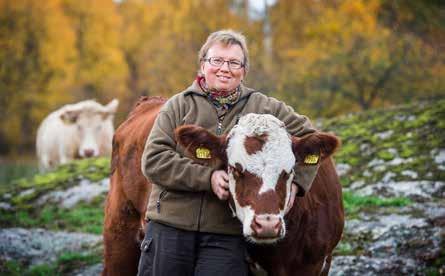 Att investera i banken visar på ett förtroende från ägarnas sida och överskottet går tillbaka till oss i form av utdelning.
