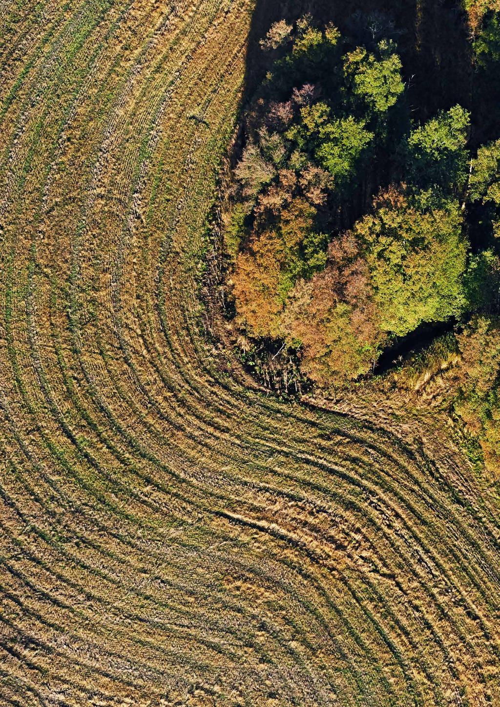 Detta nummer av Aktuellt går ut till bankens lånekunder inom jord och skog. Aktuellt på Landshypotek Bank produceras av Marknads - och kommunikationsavdelningen på Landshypotek Bank.