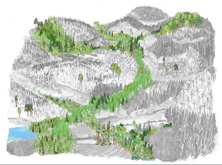 12 Figur 6. I ett fragmenterat landskap har spridningskorridorer betydelse för att binda ihop områden av högre naturkvalitet. Illustration: Bo Persson, Skogsstyrelsen.