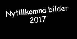 Vad kan jag göra mot min föreläsningsångest?