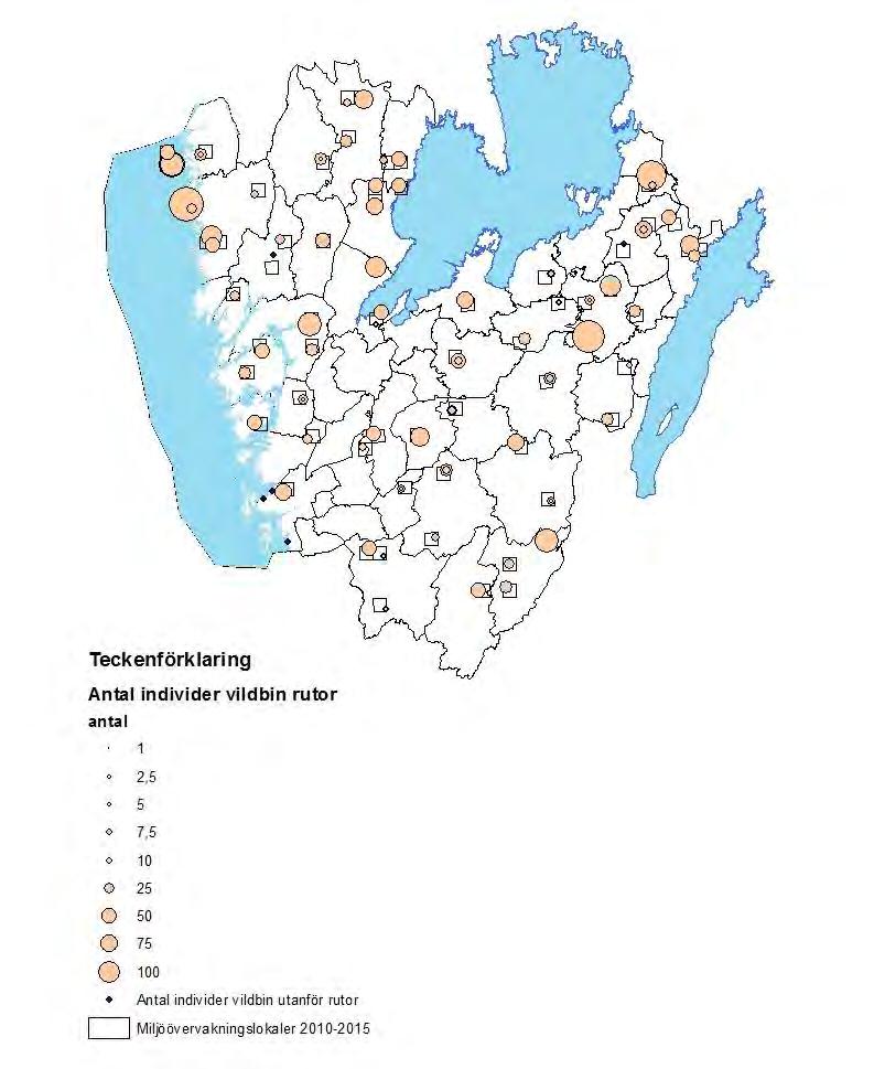 Figur 25. Antal individer av vildbin i länet.