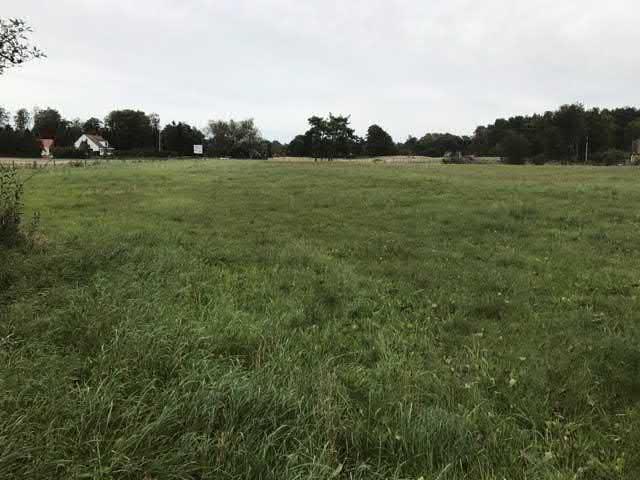 05. Hed vid Simrisskylten sgrupp Högsta naturvärde - naturvärdesklass Äng och betesmark Silikatgräsmarker, Grässandhedar Förekommer Natura 2000 : Naturanaturtyp med gynnsamt tillstånd En mycket