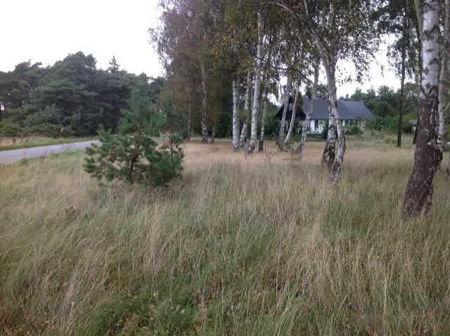 2. F d hävdad mark sgrupp Visst naturvärde - naturvärdesklass 4 Igenväxningsmark F d hävdad mark känd förekomst Natura 2000 : Icke Naturanaturtyp Ett igenvuxet område med öppna gräsytor med inslag av
