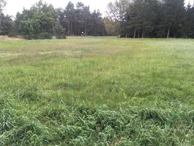 96. Sandgräsmark sgrupp Högt naturvärde - naturvärdesklass 2 Sandmiljö Grässandhedar, Övriga sandmarker känd förekomst Natura 2000 : Naturanaturtyp med ej gynnsamt tillstånd En liten utmärkande del