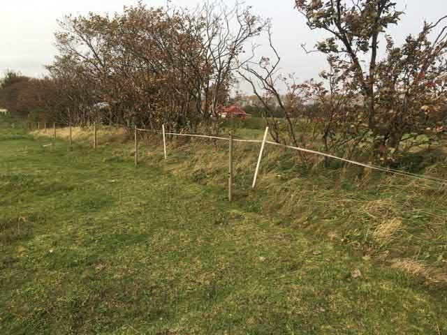 64. Oxelallé sgrupp Visst naturvärde - naturvärdesklass 4 Park och trädgård känd förekomst Natura 2000 : Icke Naturanaturtyp En trädrad av oxel med ett tiotal mycket ätna äldre oxlar.