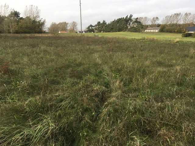 67. Öppen gräsmark sgrupp Högt naturvärde - naturvärdesklass 2 Äng och betesmark Obestämd torr-frisk hed/gräsmark nedanför trädgränsen känd förekomst Natura 2000 : Icke Naturanaturtyp Öppen gräsmark