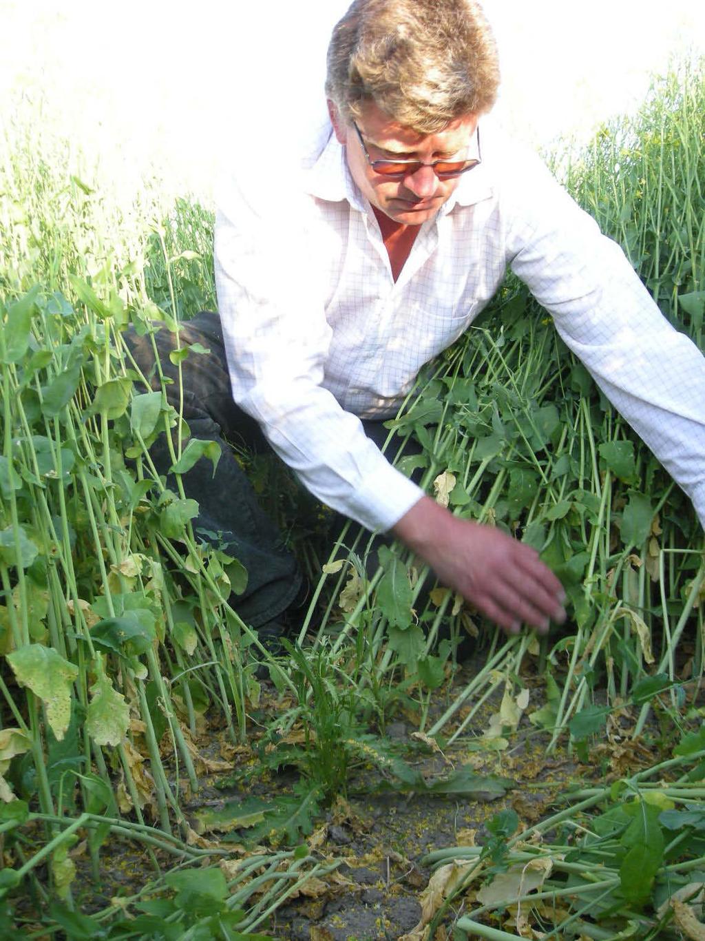 Illka Kauvo, en av Finlands främsta