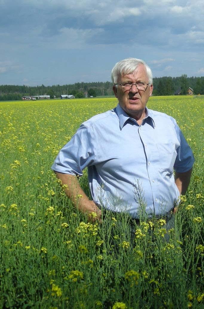 Clearfield i Vårryps Professor Unto Tulisalo har ägnat sitt liv åt herbicidtolerans i finsk vårrypsodling.
