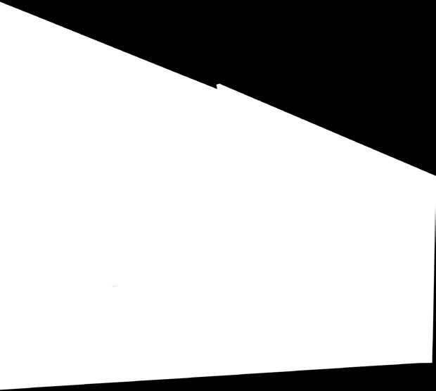 Nödbelysningsarmatur, Neptolux 55