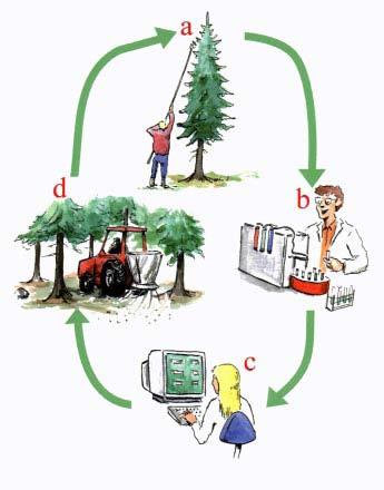 Figur 9. Arbetsgången vid praktisk tillämpning av behovsanpassad gödsling (BAG). Skogsägaren tar barrprov (a) som analyseras på ett laboratorium avseende näringsinnehåll, (b).