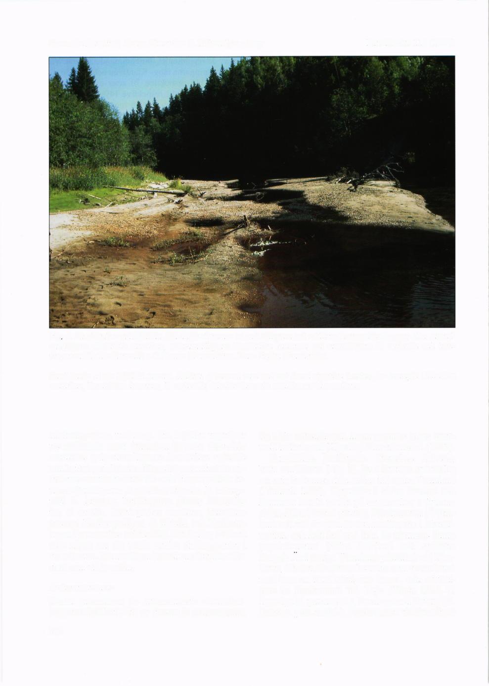 Sven-Ake Berglind, Bengt Ehnstrdm & Hdkan Ljungberg Ent. Tidskr. l8 ( 1997) Fig 4.SandbankarvidMjdlldn.Viddnfcirekommerenradstillsyntaochrddlistadestrandskalbaggar,bl.a.strandsandjcigare Cicindela marilima, mdnstrandl\pare Bembidion lunalum, gul strandldpare B.
