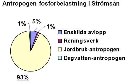 Betydande påverkan Det årliga läckaget av antropogent fosfor (av människan skapat) från Strömsåns avrinningsområde uppgår till ca 4,4 ton.