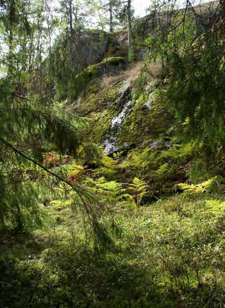 Värden i skogslandskapet Variationsrika skogar Södertörns kuperade och höglänta sprickdalsterräng kännetecknas av variationsrika skogar, varav stora markarealer skyddas som naturreservat.