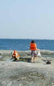 havet en häftig värld Havet det ser så blått ut. På håll. Men om du tittar närmare är det en massa färger. Samtidigt är det genomskinligt. Livet under ytan i Östersjön har mer färg än du tror.