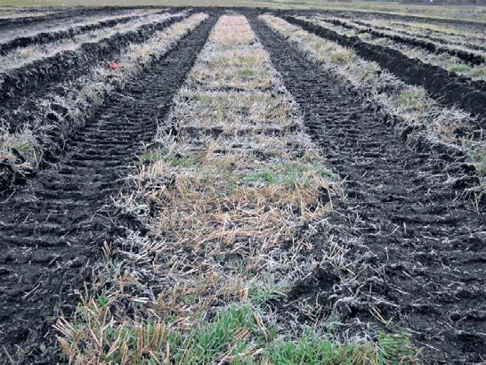 ARBETSRAPPORT FRÅN SKOGFORSK NR 613 2006 Spårdjupsmätning efter Valmet 890 med boggieband Magnum och Ecotrack HS Marie Jonsson