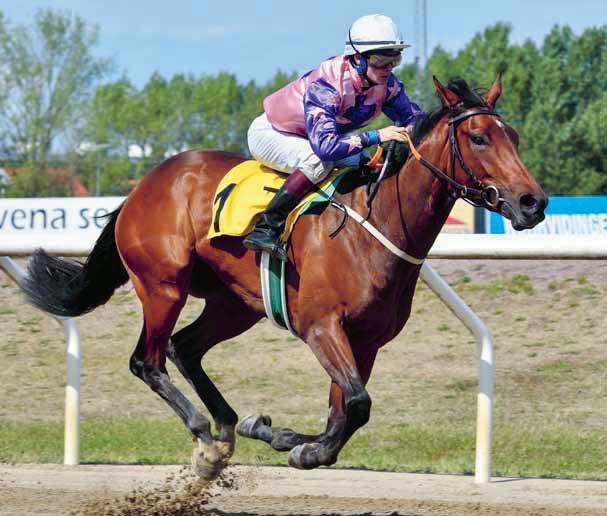 DERBYBANAN JÄGERSRO NR 16 ONSDAG 29 AUGUSTI 2018 KL 12.20 JÄGERSRO GALOPP Nio lopp med både V4 och V5!