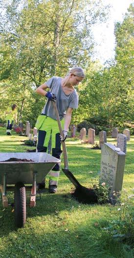 Snart gör vi sommar Vecka 24 startar vi utplanteringen av sommarblommor på gravar som har ett skötselavtal som inkluderar plantering.