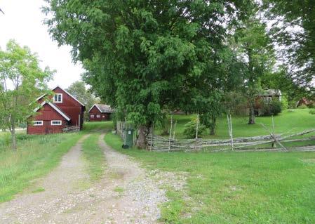gärdesgård och