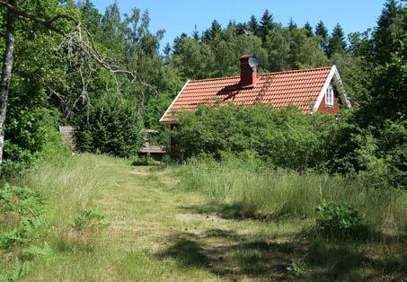 BILDER Hallasjö, det