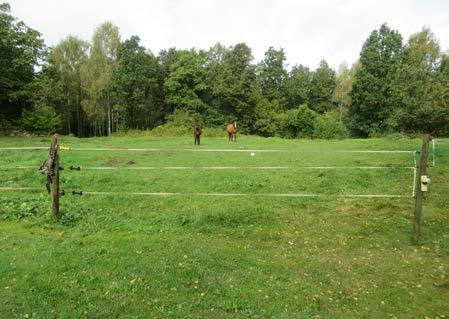 Hallasjö, gård med