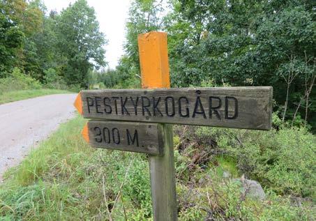 götiska gård. Hallasjö.