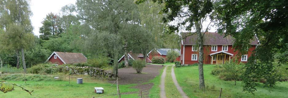 Hallasjö, mjölkbod och