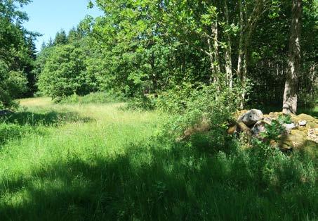 BILDER Hallasjö,