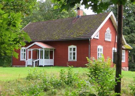 odlingsrösen, lövskog.