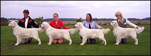 UTMÄRKELSER Breeder s Crown Meddelas