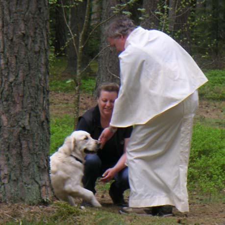 MENTALITET Under 2007 har GRKs mentalitetskommitté bestått av Ingela Stake, Anita Ohlson och Britt-Marie Lundgren.