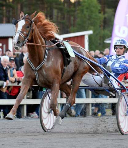 S TRAVET