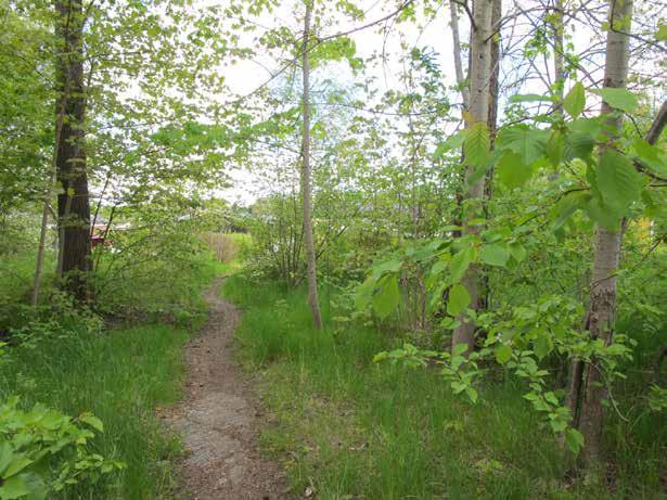 2. FURULUNDSPARKEN MINDRE PARK- OCH LEKOMRÅDE Målkaraktär: Bostadsnära natur Storlek: Ca 0,4 ha Planstatus: S:II/1971 Park eller plantering DANNEBACKEN 1:5 000 Furulundsparken består av naturmark och