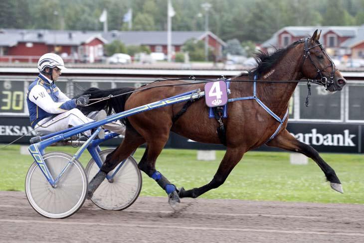 månadens häst augusti 2010 Rocky Race Hingst 5 år e. Super Arnie u. Etoile Race ue. Lindy s Crown. Ägare & uppfödare: Stall Horse Race HB, Nora. Tränare: Leif Witasp. Skötare: Eva Ek.