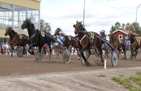 100815 Kajsa och Springnight Blues obesegrade 100816 Hemmadubbel till Witasp Den enes död... När Ecco Flax galopperade gick segern istället till Yosemite Boko och Leif Witasp.