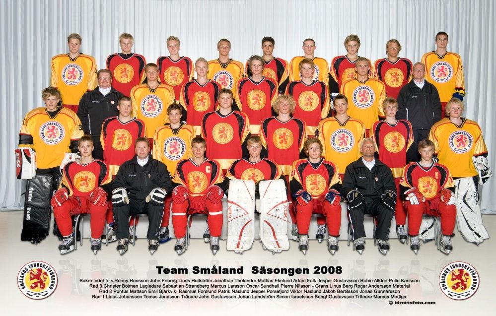 Slutspel Date Game Result Spectators Venue Info 2008-09-19 13:00 Skåne - Västerbotten 1-5 ( 0-1, 1-4 ) Hovet, Johanneshov K 1 2008-09-19 15:00 Västmanland - Småland 1-4 ( 1-1, 0-3 ) 325 Hovet,