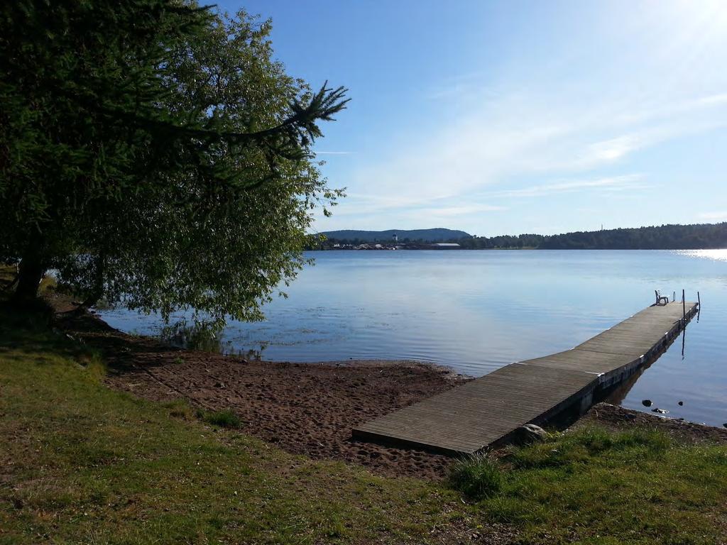 31 Budgetdirektiv och